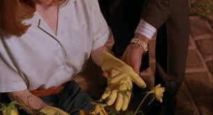 Safe's eerie social satire and somewhat sterile stylization is balanced by comedic undertones and an impressive, understated performance from julianne moore. Safe 1995 Todd Hayne S Evocative Film Starring Julianne Moore Emanuel Levy