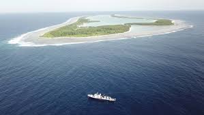 Showcase yourself & find jobs. Scientists Find Deep Sea Bacteria That Are Invisible To The Human Immune System Live Science