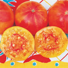 There are 8242 heirloom tomato plant for sale on etsy, and they cost $8.51 on average. Pineapple Tomato Heirloom Tomato Plants Totally Tomatoes