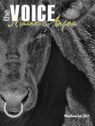 There aren't enough food, service, value or atmosphere ratings for garten eden pizzaservice, germany yet. Voice May June July 2017 By Edje Issuu