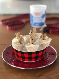 See the local sights and visit cabot mini golf and greystone country club. 100 Cute Pets And Their Favorite Cabot Goodies Ideas Cabot Cheese Pets Pup
