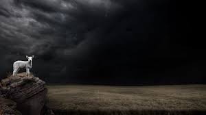 Niehaus, covenant and narrative, god and time, in journal of the evangelical theological society 53:3 (2010): Meaning Of Jehovah Jireh Steemit
