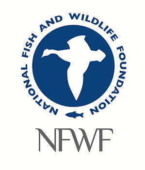 National Fish and Wildlife Foundation - Wikipedia