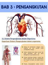 Transport) merujuk kepada kenderaan yang membawa seseorang atau sesuatu dari satu tempat ke satu tempat yang lain, biasanya pada jarak yang jauh berbanding jika berjalan kaki. Bab 3 Pengangkutan Kssm F3 2019