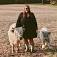 Hug a Highland Cow Event