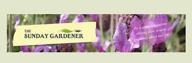 This blog follows catherine's adventures in the garden and in life in general, and it's certainly an interesting. Best Gardening Blogs Of 2021 Best Drill Reviews