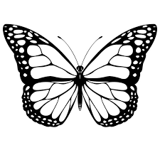 Monarch caterpillar coloring page from caterpillar category. Free Printable Butterfly Coloring Pages For Kids Butterfly Clip Art Butterfly Printable Butterfly Coloring