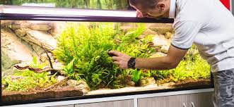 Freshen fish tank water every two weeks. Cleaning A Fish Tank With Vinegar Step By Step With Pictures