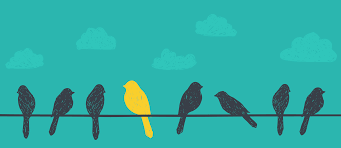 Yellow Bird Editors Writing Coach Yellow Bird Bird