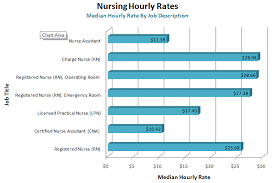 Different Types Of Nurses Salary Healthy Hesongbai