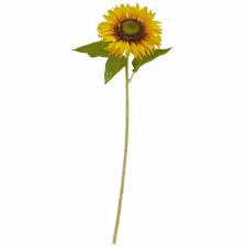 B2b marketplace for sunflowers plastic suppliers, manufacturers,exporters, factories and global sunflower cake decorations decoration1.size:10cm*8.7cm*2.3cm 2.material:plastic hot sale popular lovely style pp. August Grove Artificial Sunflower Flower Stem Wayfair