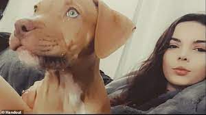 Woman Fined 500 For Filming Her Dog Lick Peanut Butter From Her Crotch And Is Allowed To Keep Pet Daily Mail Online