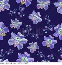 They're great for backgrounds/wallpaper, print accessories, etc. Purple Tender Orchid Vector Photo Free Trial Bigstock