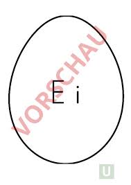 We did not find results for: Arbeitsblatt Vorlage Ei Deutsch Erstlesen