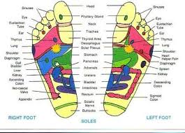 Foot Pressure Point Chart Foot Reflexology Foot Pressure