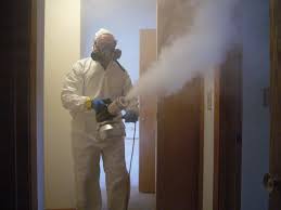 odor removal company