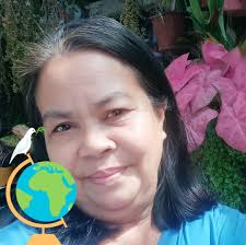 12 Halaman Na Lumalaban Sa Radiation Sa Loob Ng Bahay At Office