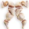 How to cut a whole chicken best recipes. 1