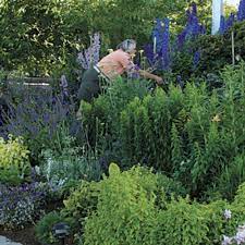 40+ fabulous flowers 44 photos. The Best Flowers For Your Cutting Garden Finegardening