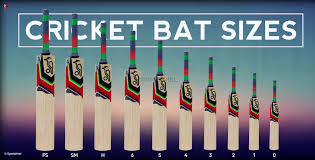 We did not find results for: How To Choose A Cricket Bat Cricket Buyers Guide