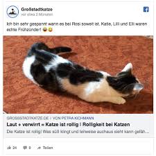 Bei freigängern wird oft eine frühkastration empfohlen, weil das einsetzen der geschlechtsreife oft zu spät bemerkt wird. Kastration Katze Mythen Kastration Wann Katze Kastrieren