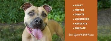 Puppies and dogs in oregon. Born Again Pit Bull Rescue Home Facebook