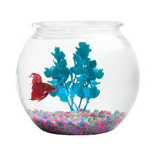 We did not find results for: Home Decoration 2 Gallon Round Shape Fish Bowl Glass Fish Tank Aquarium Accessories Buy Fish Bowl Aquarium Accessories Fish Tank Product On Alibaba Com
