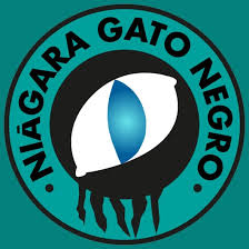 ASOC.ASTURIANA MINIFUTBOL