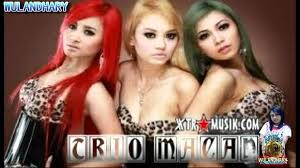 Hasil gambar untuk foto hot trio macan