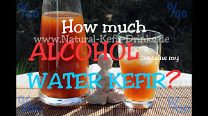 Water kefir is being hailed as the new kombucha. How Much Alcohol Contains Water Kefir Made With Real Water Kefir Crystals Grains Youtube