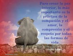 Para Crear La Paz Interior Paz Interior Frases Frases De Paz Palabras En Espanol