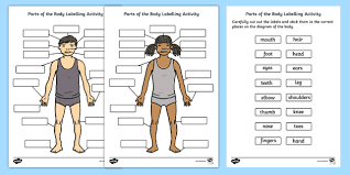 Worksheets for practicing vocabulary, spelling and sentences relating to parts of the body. Body Parts Worksheet Labelling Activity Teacher Made