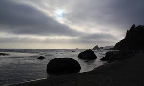 Saw a nesting bird & a pelican doing poses for us on top of a rock. Moonstone Beach County Park Trinidad Ca California Beaches