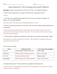 Flow Chart Ecosystem Example Energy Through An Diagram Of