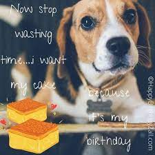 Dogs are a fun addition to every day, but they're especially great on someone's birthday! Birthday Wishes For Dog Puppy Pet Happy Birthday Dog Gif