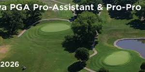Pro-Assistant & Pro-Pro