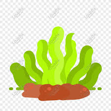 Gambar pemandangan dalam laut kartun top lucu via topkatalucu.blogspot.com. Unsur Reka Bentuk Hidupan Laut Rumpai Laut Hijau Gambar Unduh Gratis Imej 610807682 Format Psd My Lovepik Com