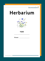 Herbarium specimen label linked from herbarium: Vorlagen Fur Ein Herbarium