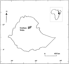 Image result for Spermacoce sphaerostigma