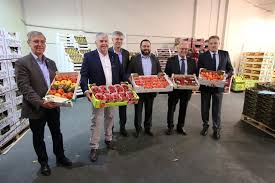 715225 alimentaire des fruits légumes sont disponibles sur alibaba.com. La Banque Alimentaire 13 Joue Local Bleu Tomate Le Mag