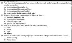 Soal dan kunci jawaban tes cpns pdf.soal cpns download soal cpns 2018 2019 kunci jawaban cat dan pdf lengkap kunci dari kelulusan tes cpns adalah keberhasilan dari menjawab soal soal tes cat cpns yang diujikan dan dari soal yang berjumlah 100 butir tersebut semuanya dalam bentuk pilihan ganda dengan 4 pilihan jawaban. Contoh Soal Cpns Guru Sd Pdf Dikdasmen