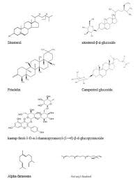 Image result for Flabellaria paniculata