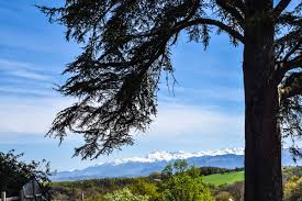 Panorama sur les Pyrénées depuis les coteaux de Mazères-Lezons