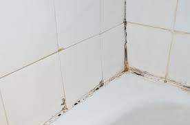 Wenn auch kleinste dunkle flecken auftreten, sollten diese sofort entfernt werden. Schimmel Im Bad Ursachen Massnahmen