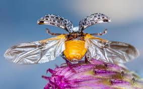 Transform your advertising, social media and website with shutterstock. 10 Top Ways To Use Different Angles In Your Photography Ephotozine