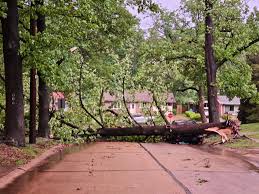 PHOTOS: Damage caused from Monday’s severe weather