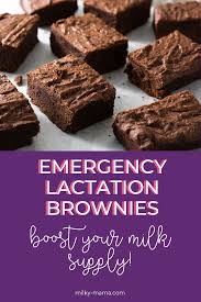 Emergency Brownies Lactation Recipes Lactation Brownie Recipe Breastfeeding Snacks