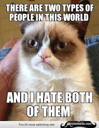There Are Two Types Of People In This World Meme Other There Are Two Types Of People In This World Funny Grumpy Cat Memes Grumpy Cat Humor Grumpy Cat Quotes