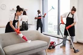 Professional Cleaning Services