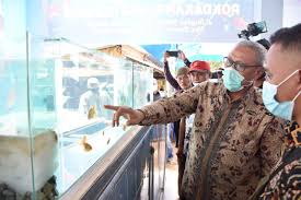 Kegiatan kontes ikan cupang ini digelar hampir setiap tahun. Bupati Kuningan Resmikan Pasar Induk Ikan Hias Di Desa Bakom Pemerintah Kabupaten Kuningan